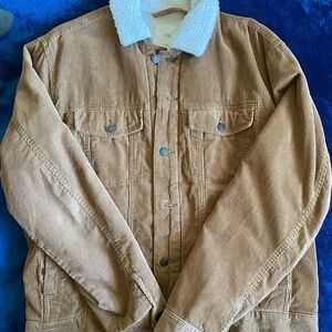 H&M Light Brown Corduroy Jacket with Cream Collar